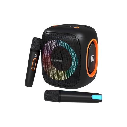 30W Bluetooth Speaker with Dual Karaoke Mic